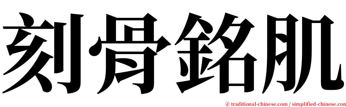 刻骨銘肌 serif font