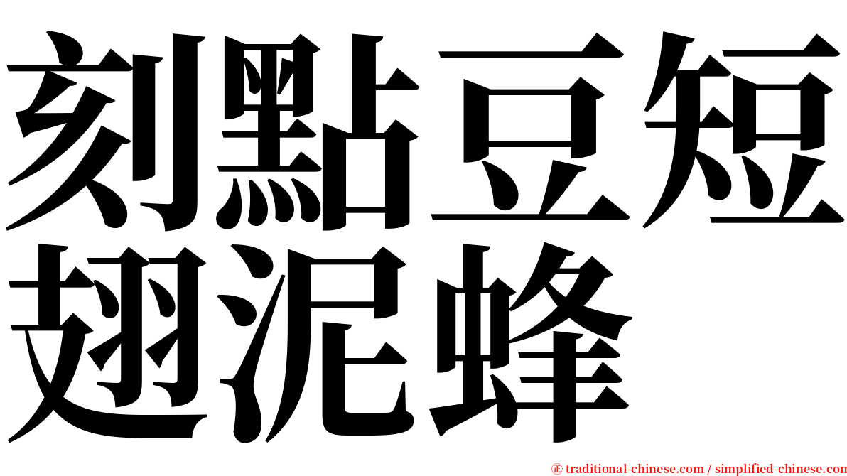 刻點豆短翅泥蜂 serif font
