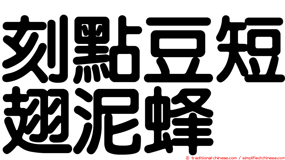 刻點豆短翅泥蜂
