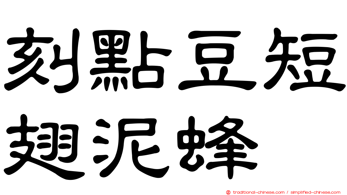 刻點豆短翅泥蜂