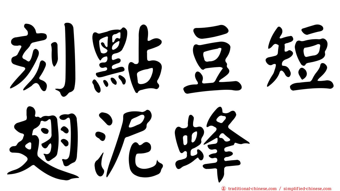 刻點豆短翅泥蜂