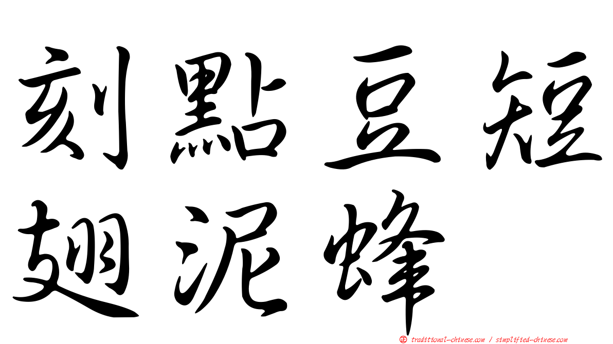 刻點豆短翅泥蜂