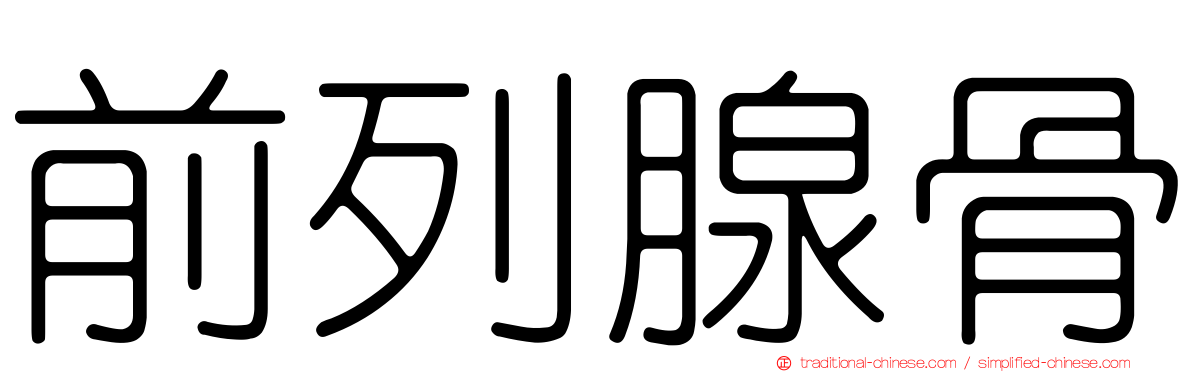 前列腺骨
