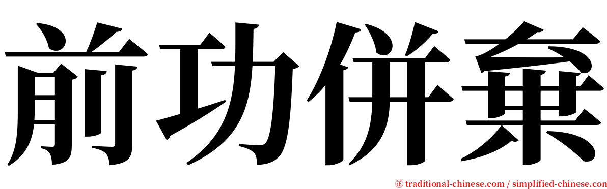 前功併棄 serif font