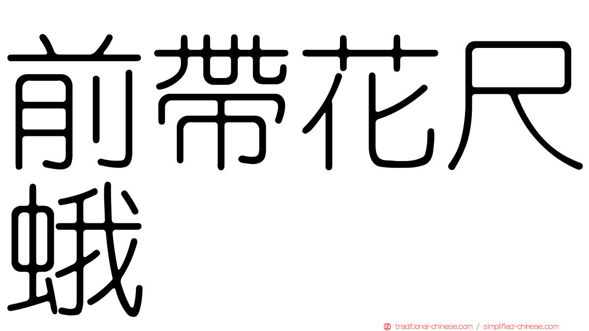 前帶花尺蛾