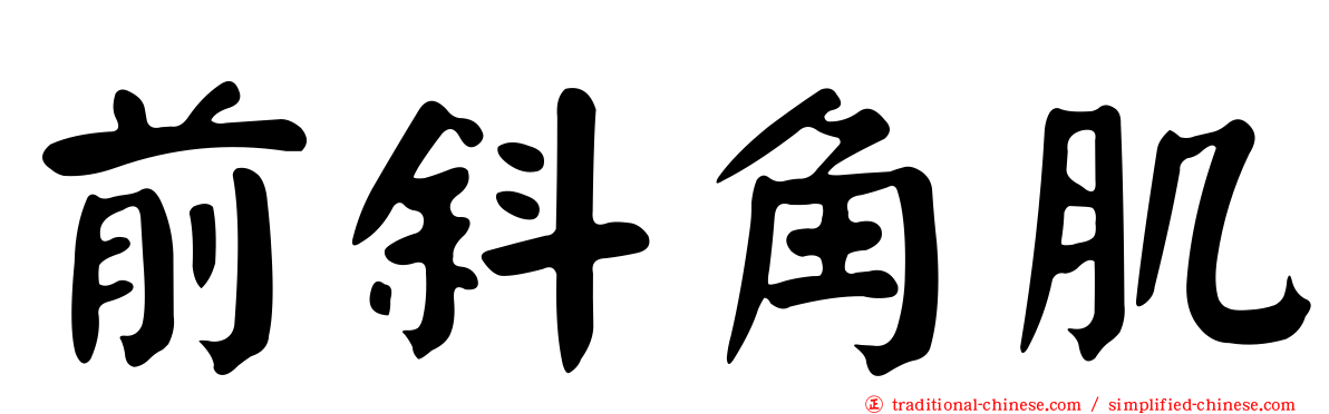 前斜角肌