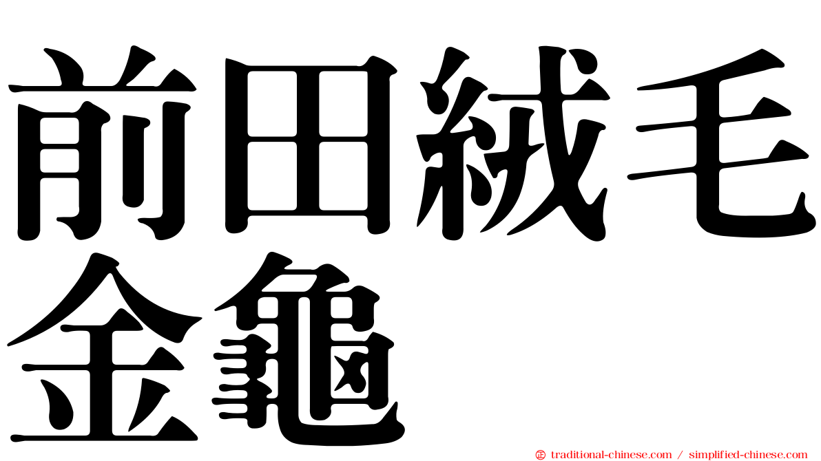 前田絨毛金龜