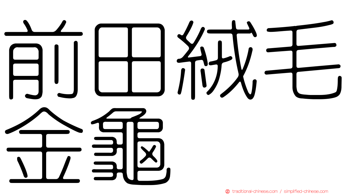前田絨毛金龜