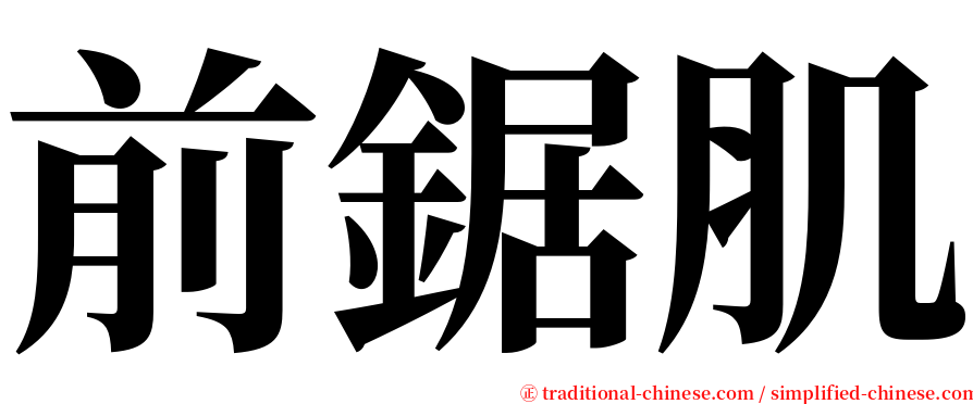 前鋸肌 serif font