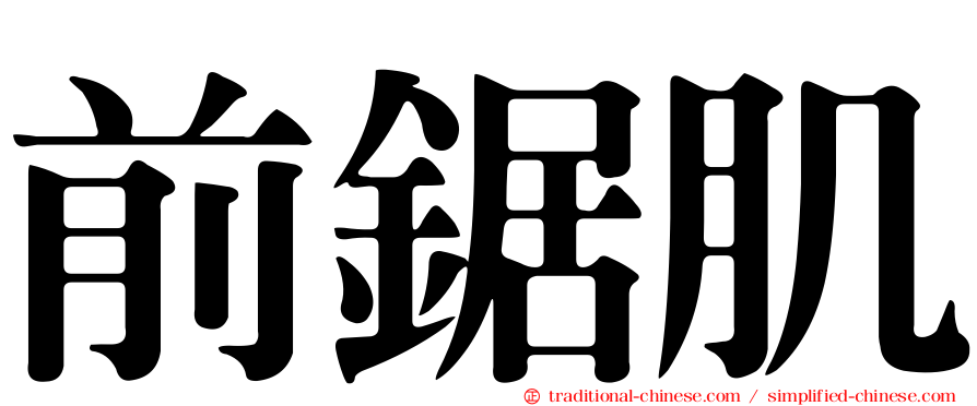 前鋸肌