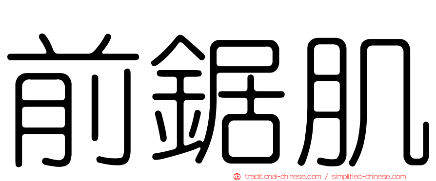 前鋸肌