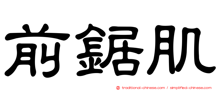 前鋸肌