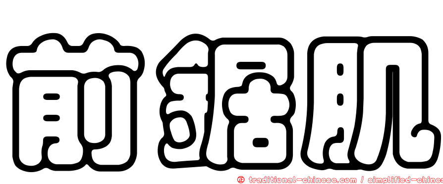 前鋸肌