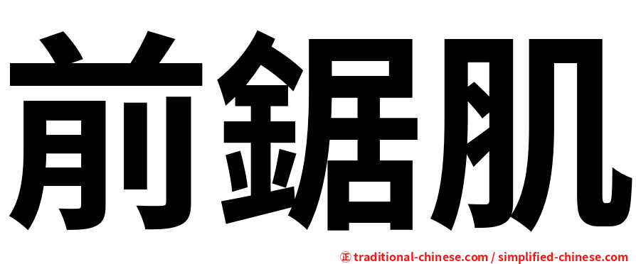 前鋸肌