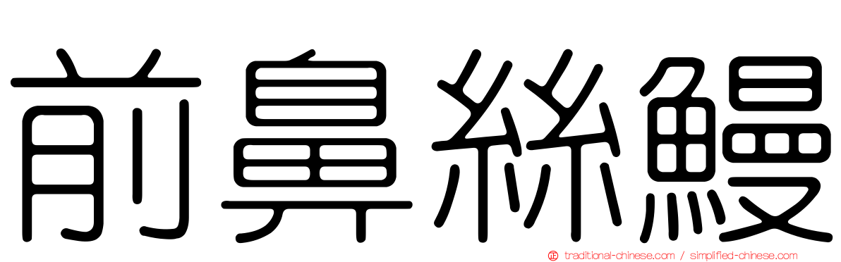 前鼻絲鰻