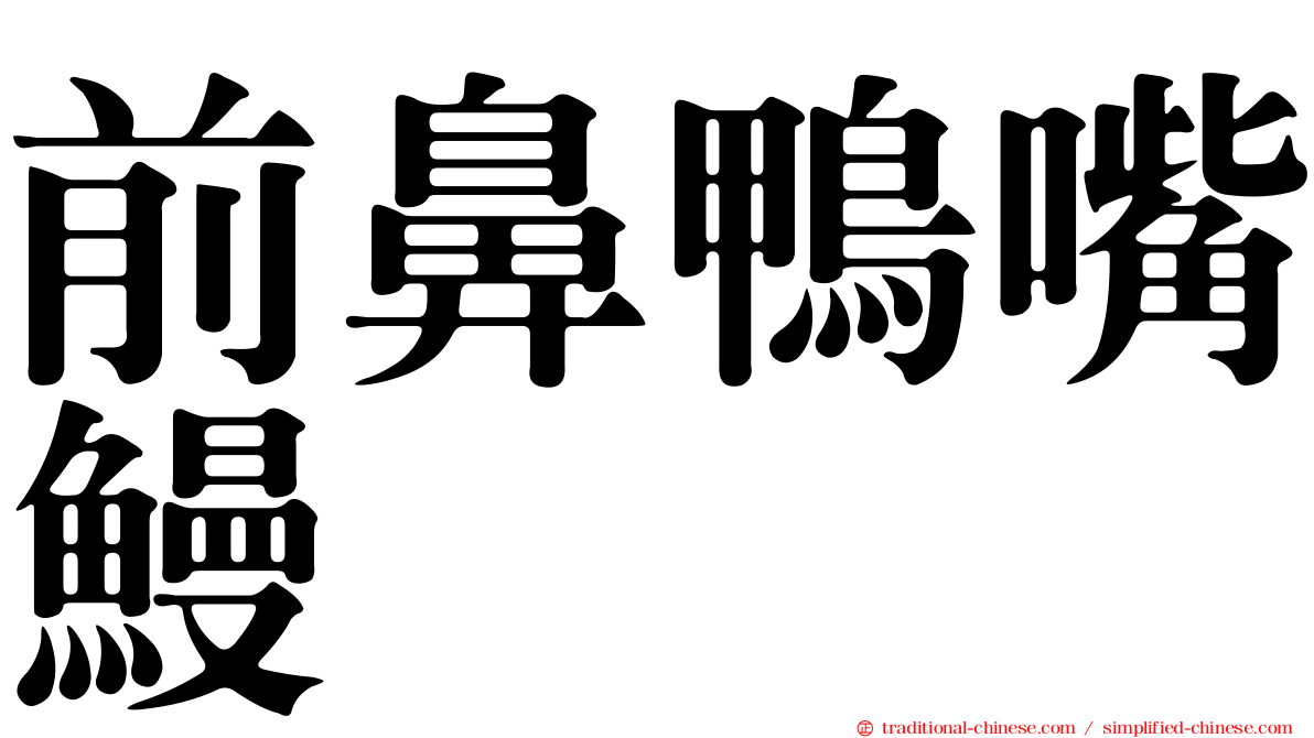 前鼻鴨嘴鰻