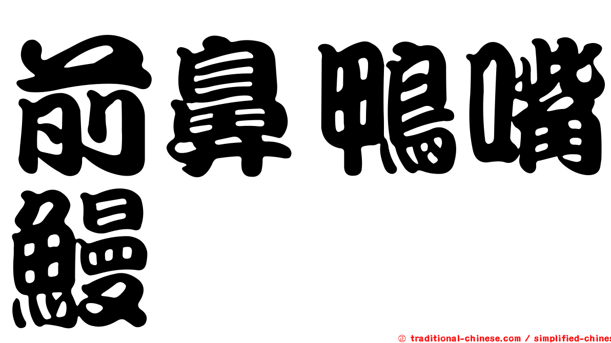 前鼻鴨嘴鰻