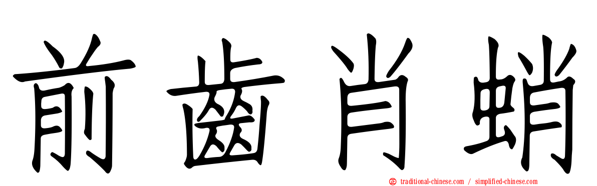 前齒肖蛸
