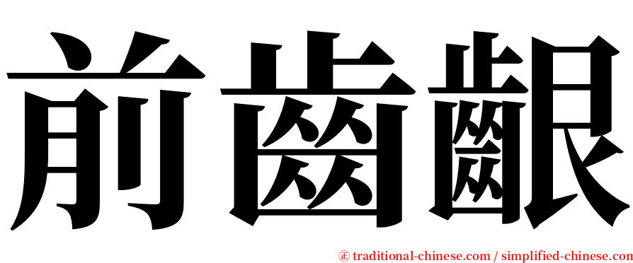 前齒齦 serif font
