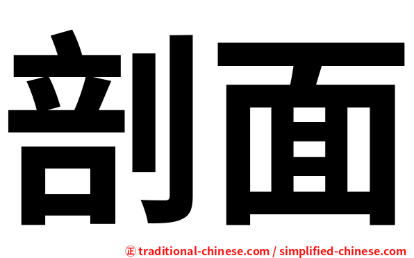 剖面