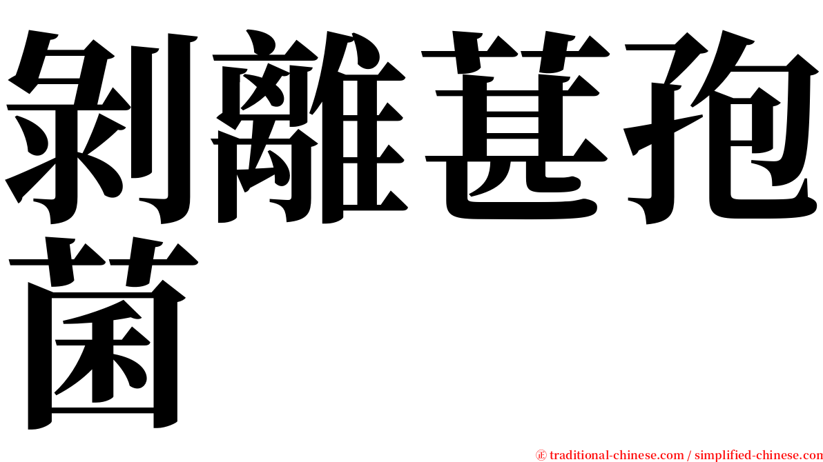 剝離葚孢菌 serif font