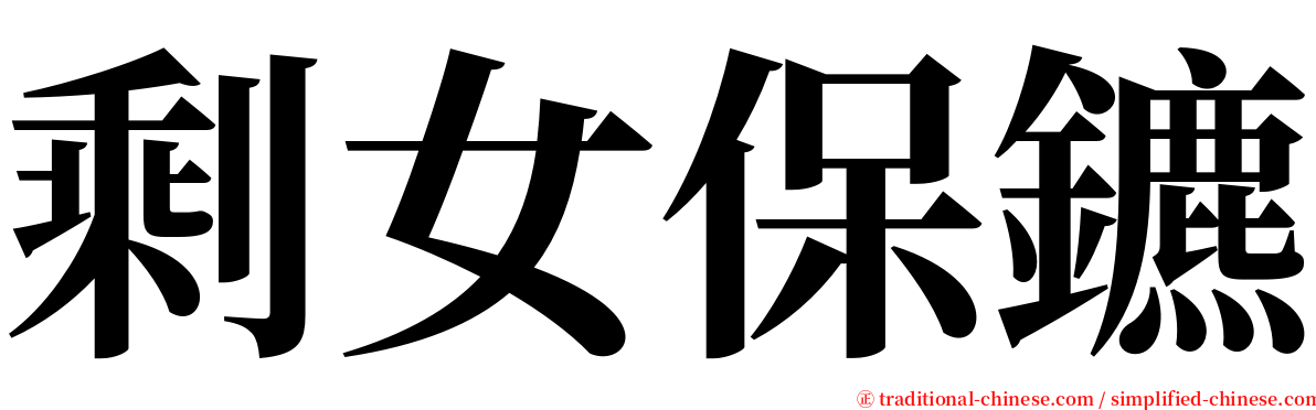 剩女保鑣 serif font