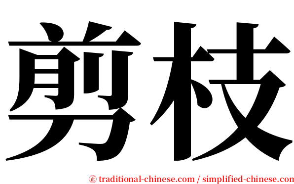 剪枝 serif font
