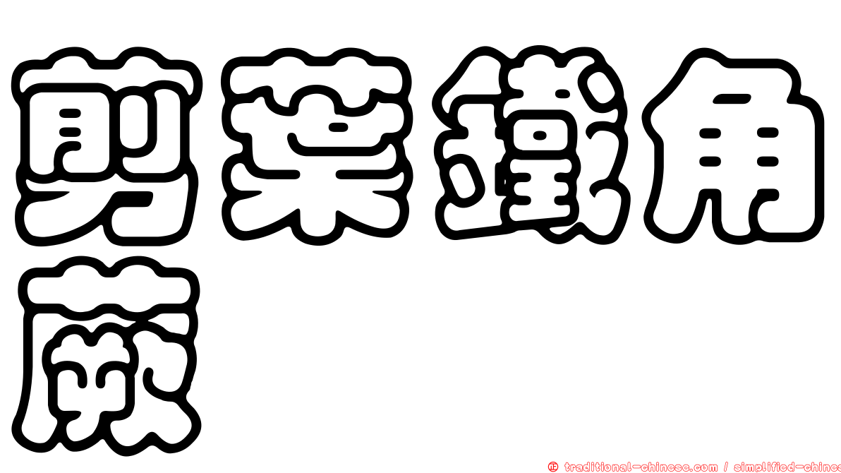 剪葉鐵角蕨