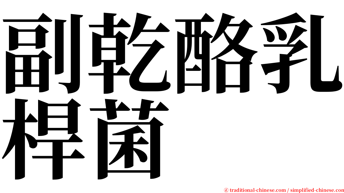 副乾酪乳桿菌 serif font