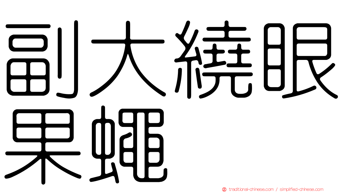 副大繞眼果蠅