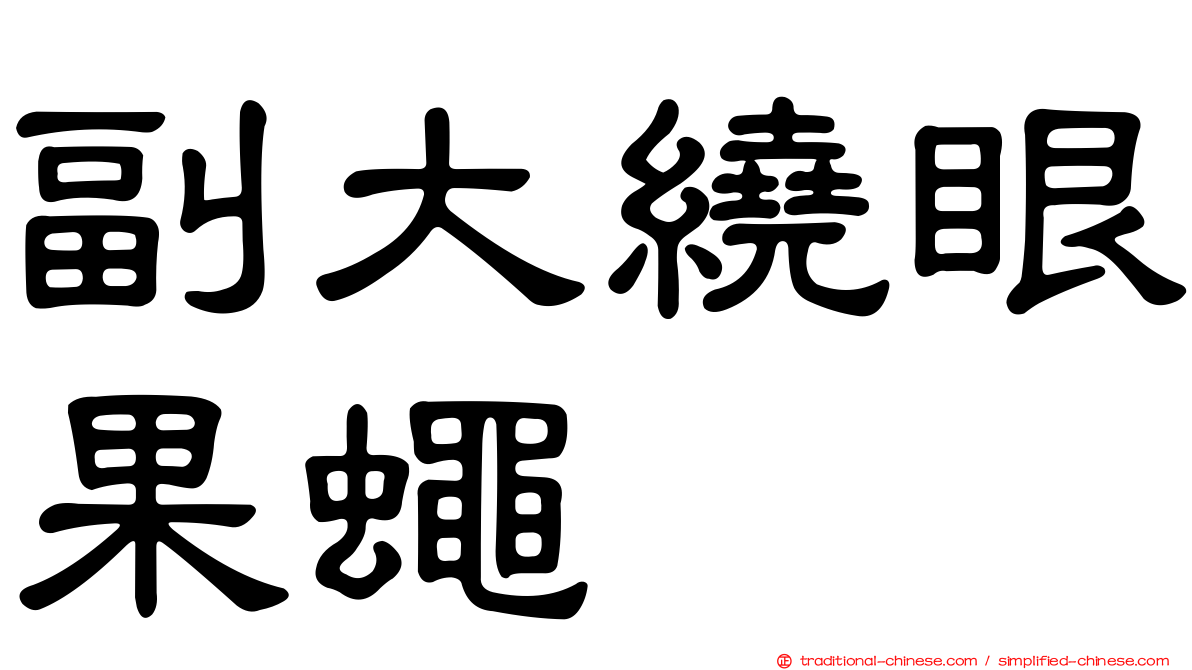 副大繞眼果蠅