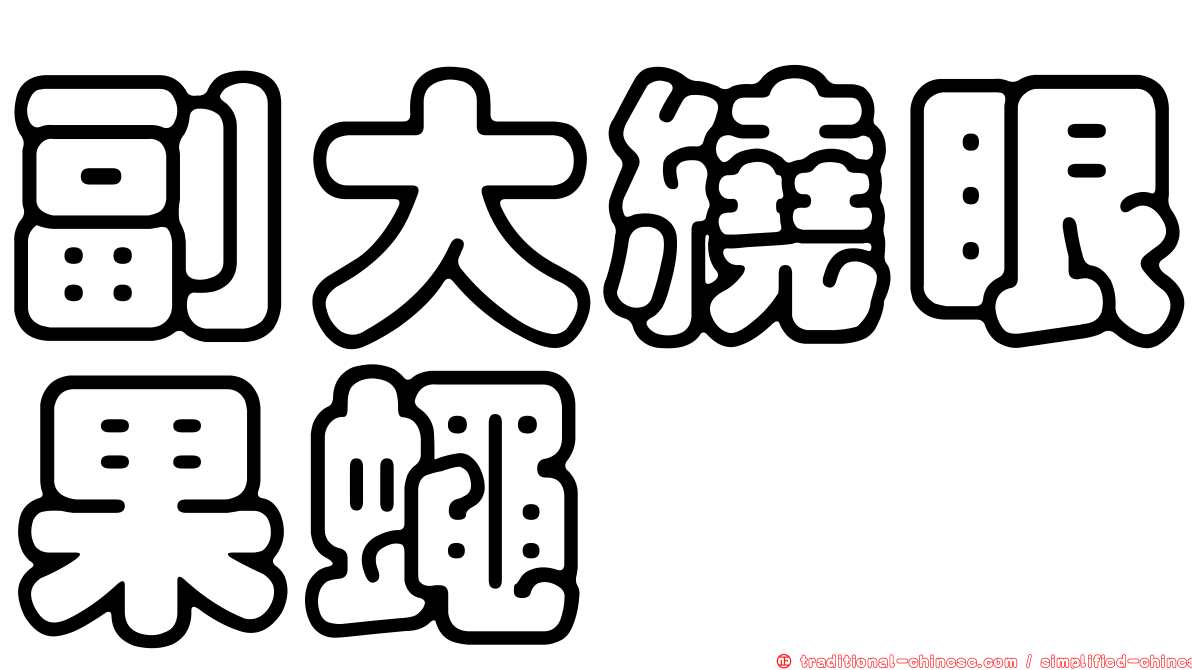 副大繞眼果蠅