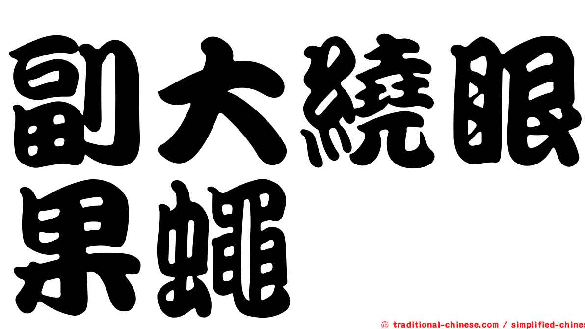 副大繞眼果蠅