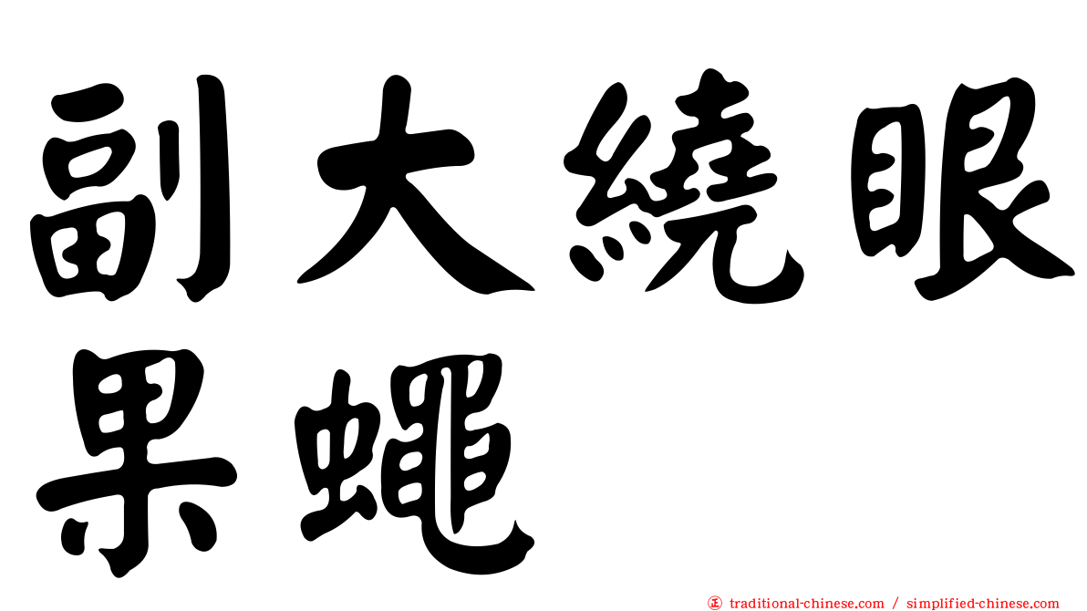 副大繞眼果蠅