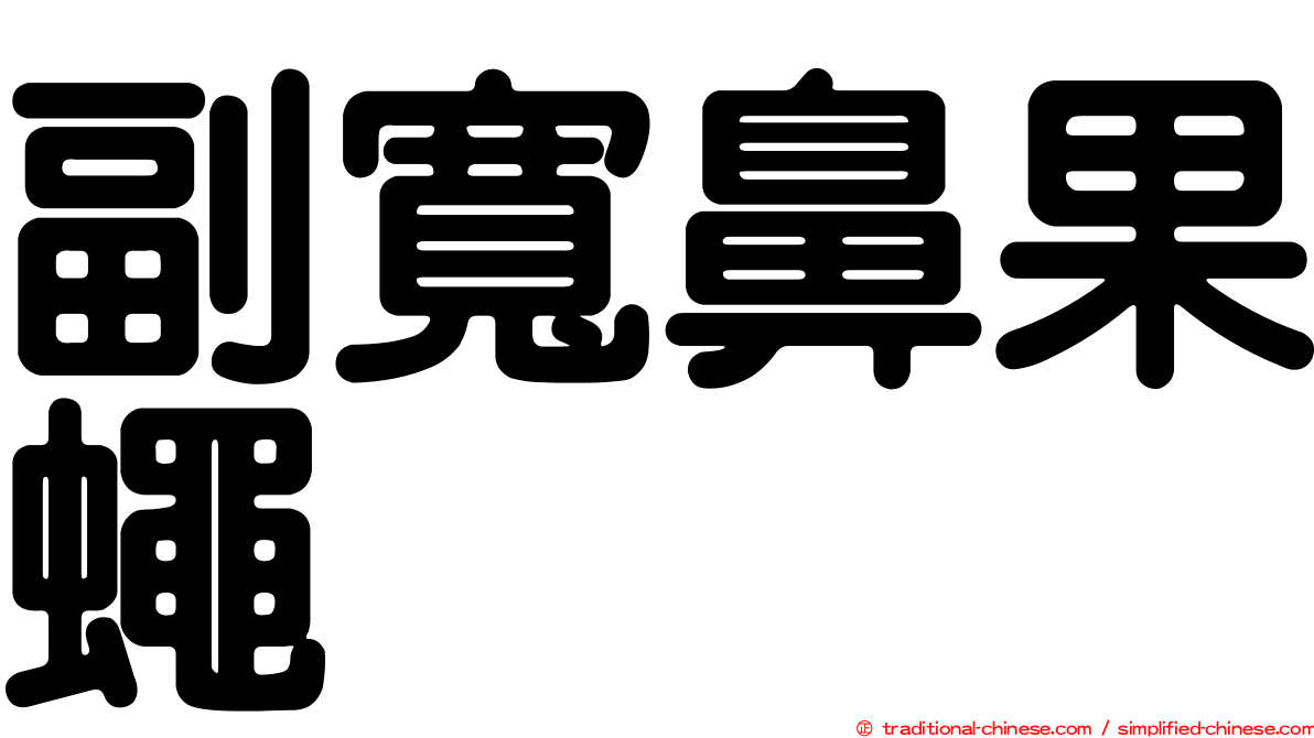副寬鼻果蠅