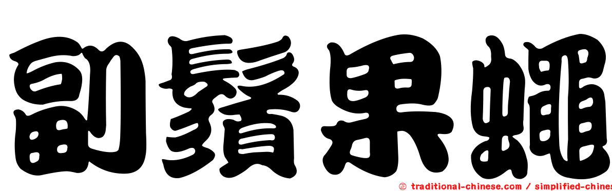 副鬚果蠅