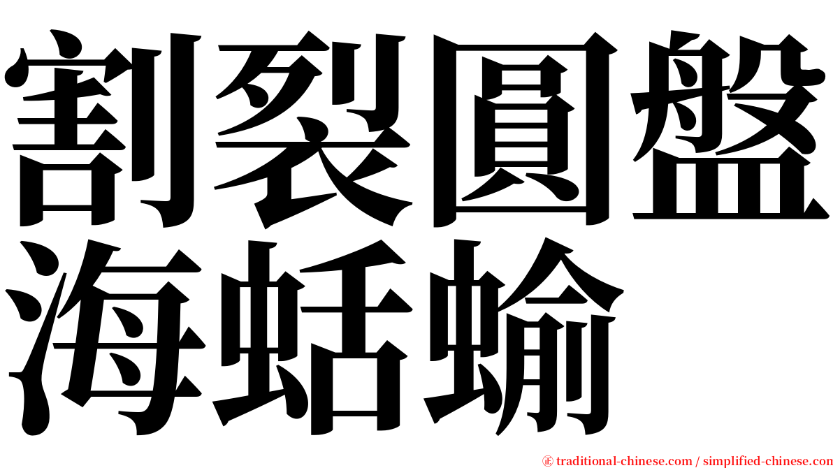 割裂圓盤海蛞蝓 serif font