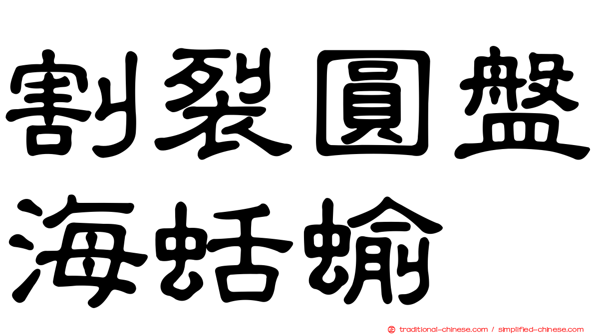 割裂圓盤海蛞蝓