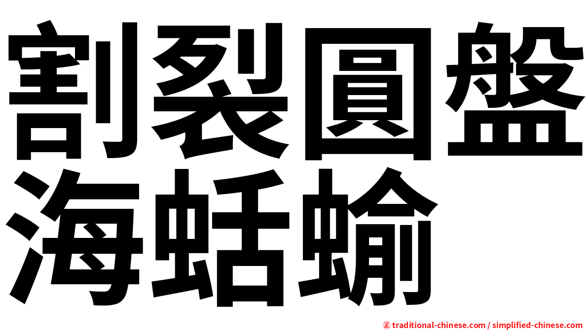 割裂圓盤海蛞蝓