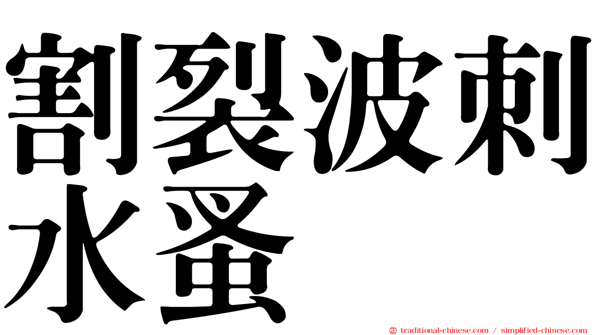 割裂波刺水蚤