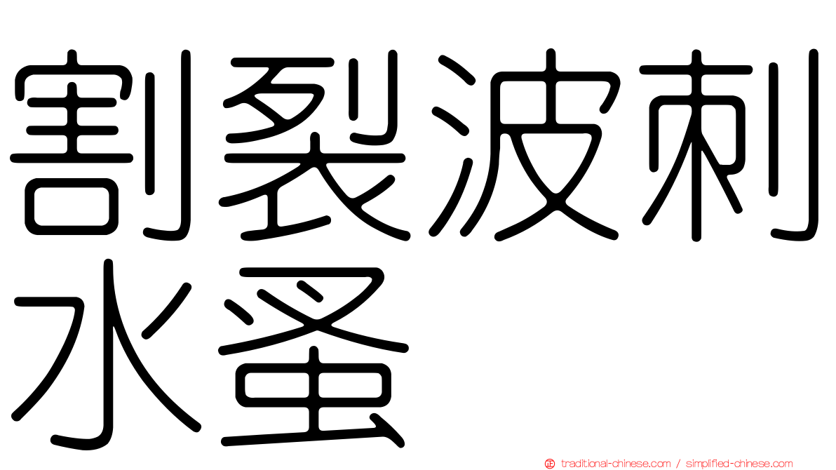 割裂波刺水蚤