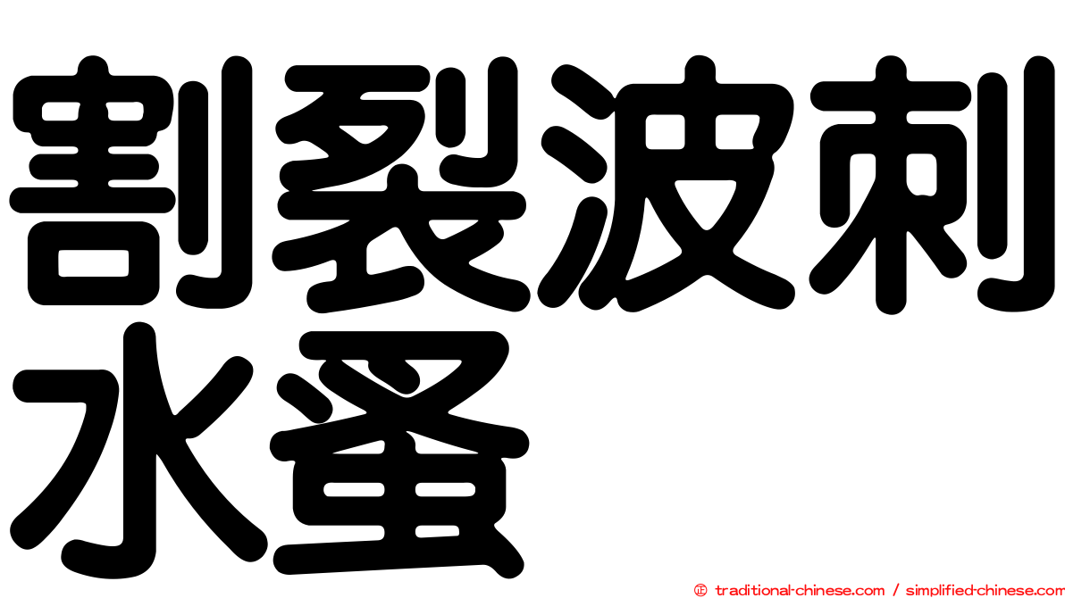 割裂波刺水蚤