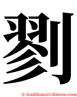 剹 serif font