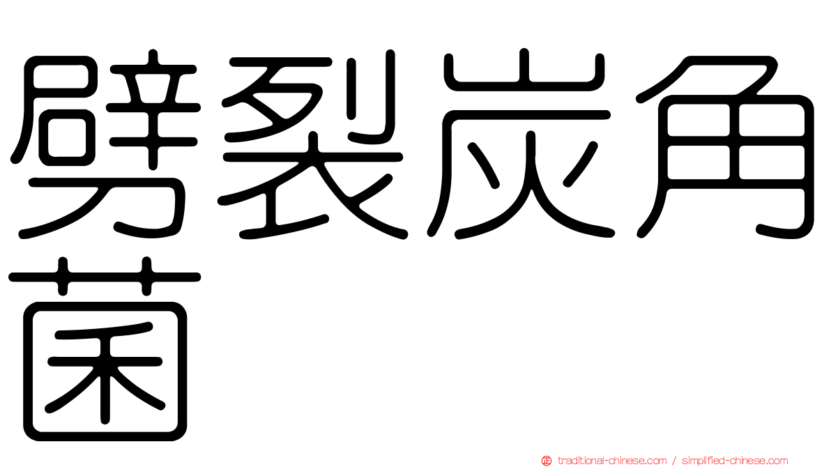 劈裂炭角菌