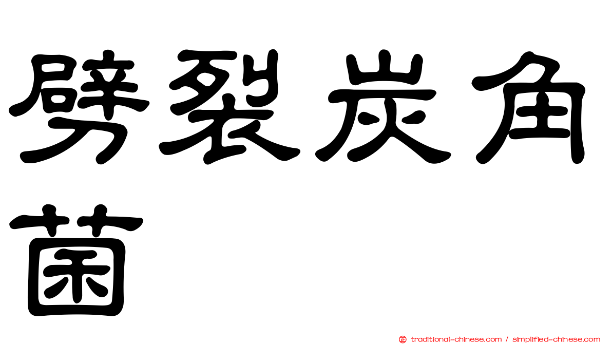 劈裂炭角菌