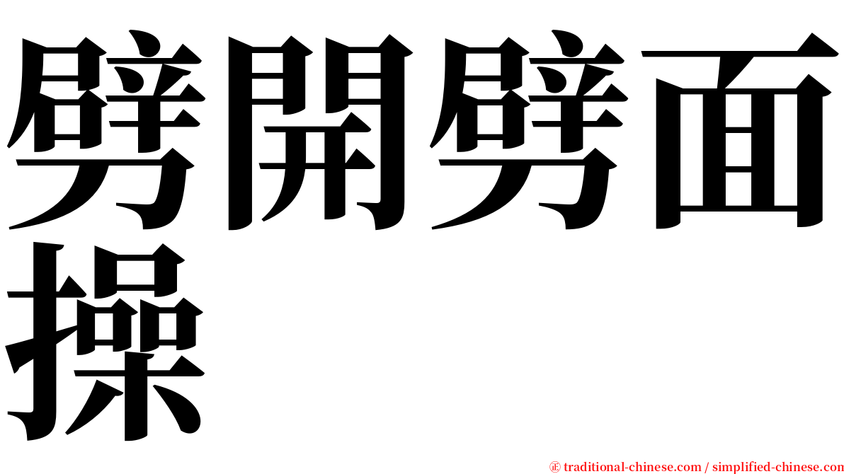 劈開劈面操 serif font