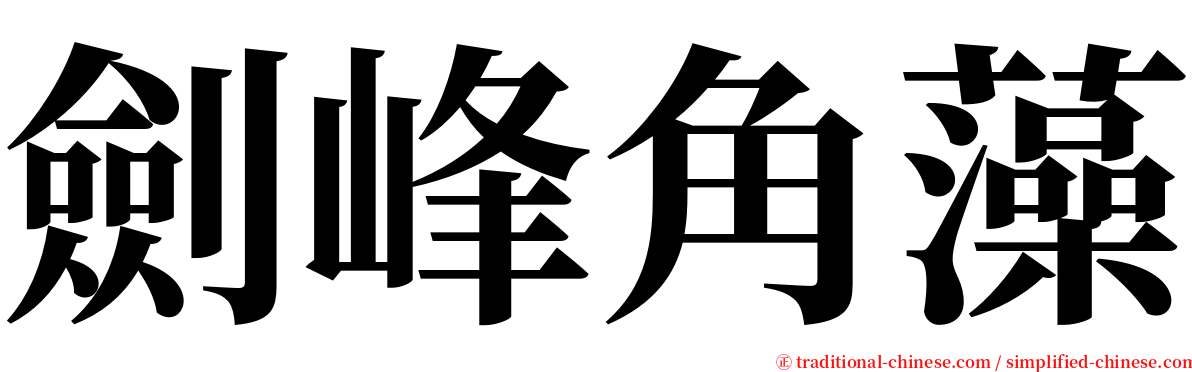 劍峰角藻 serif font