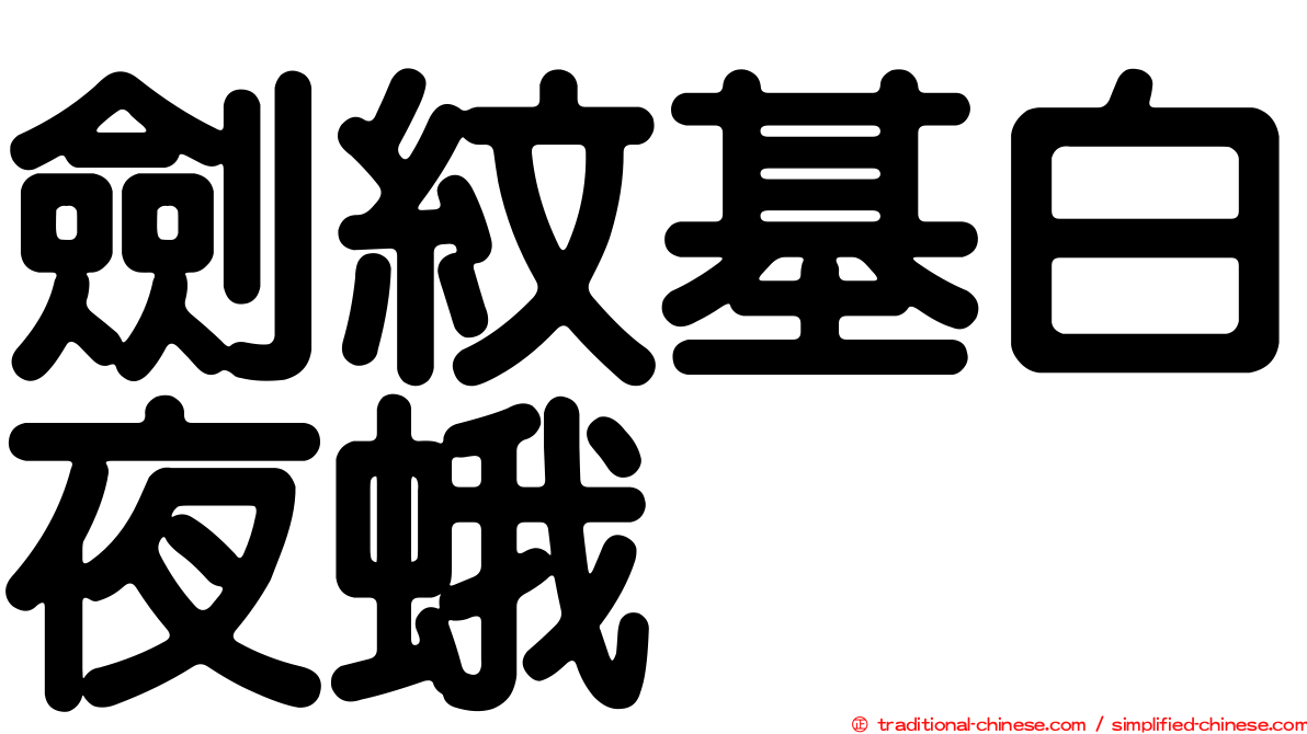 劍紋基白夜蛾
