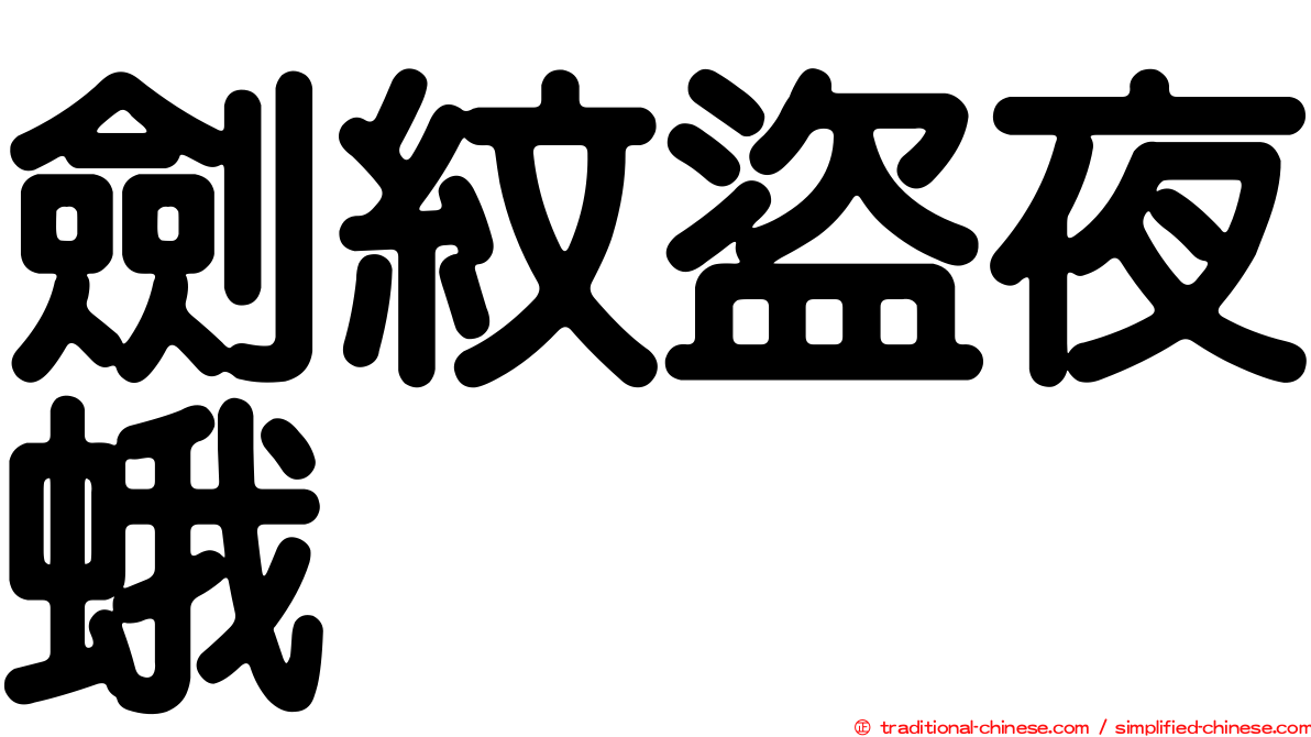 劍紋盜夜蛾