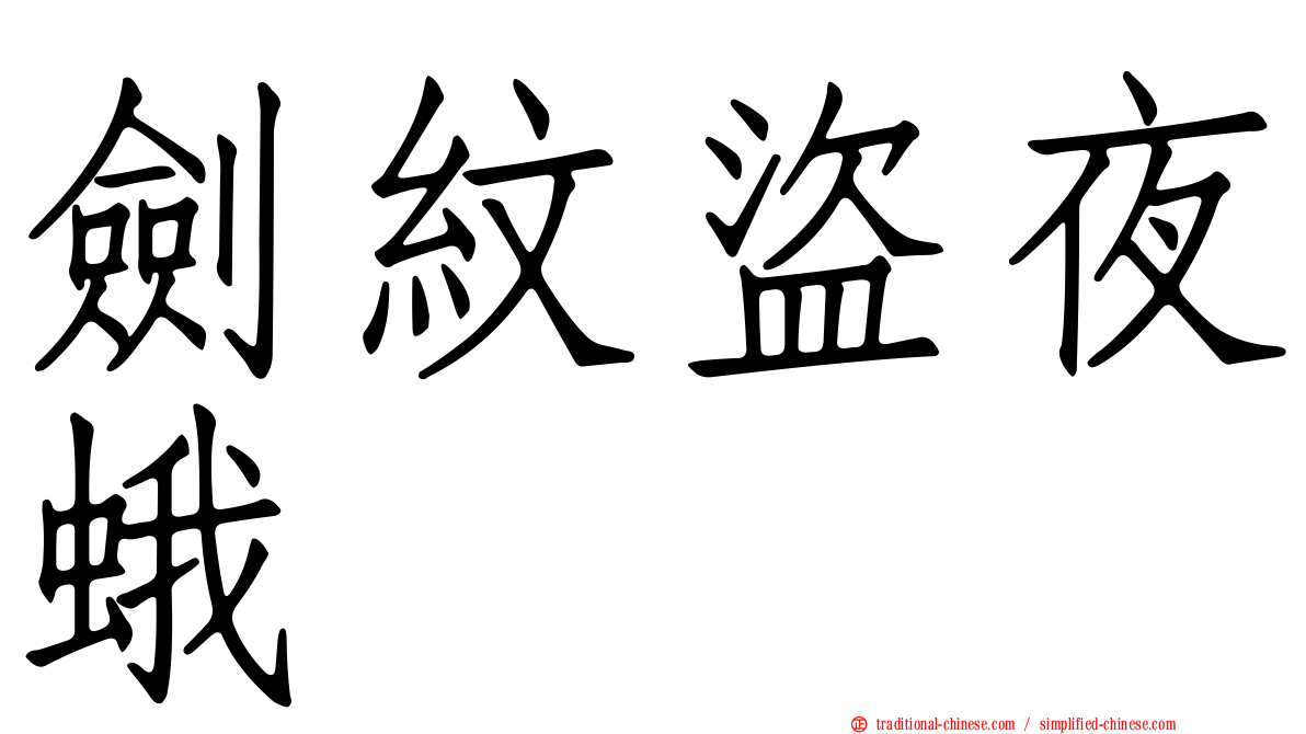 劍紋盜夜蛾